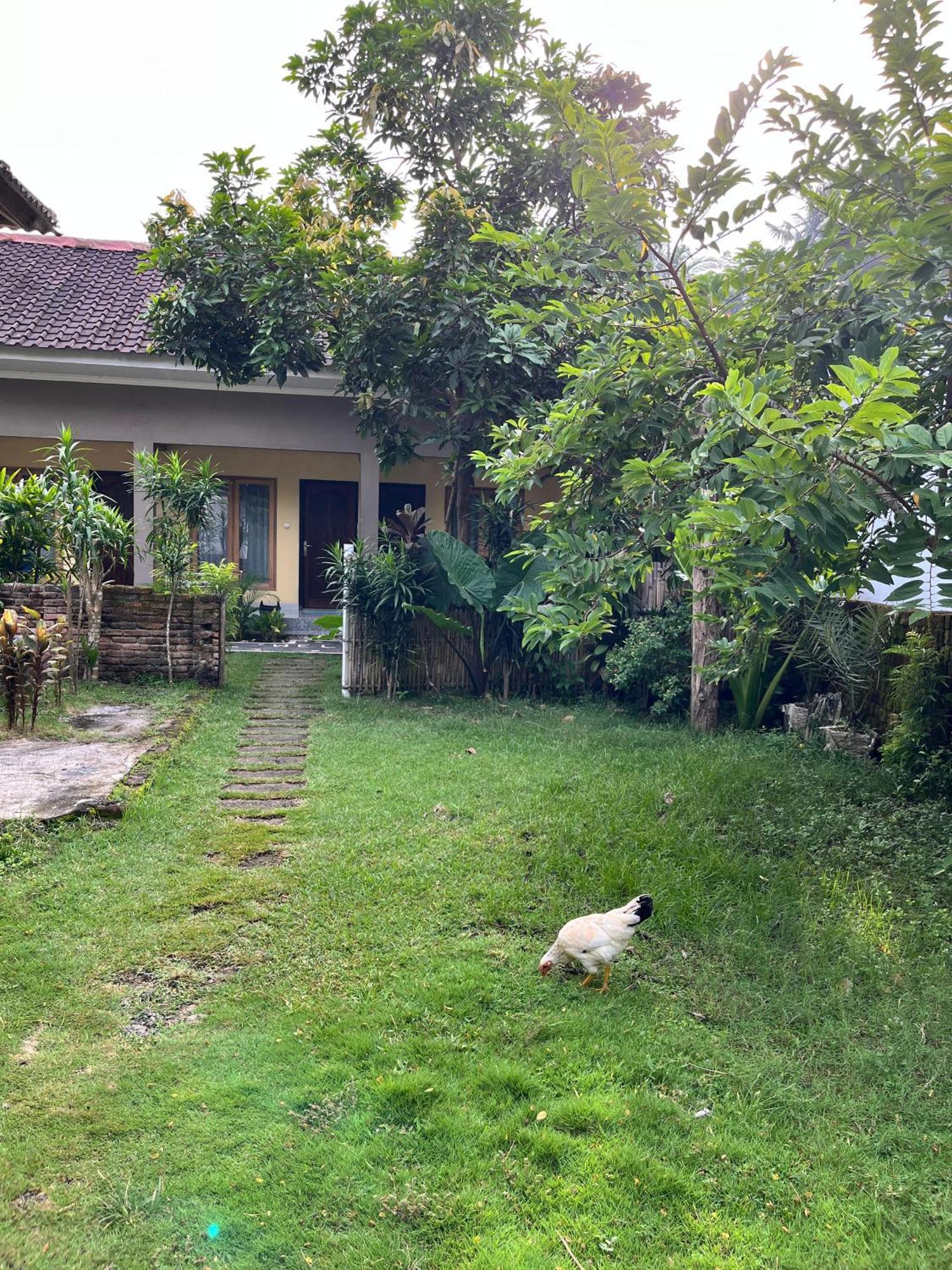 Honey Home Kuta  Bagian luar foto