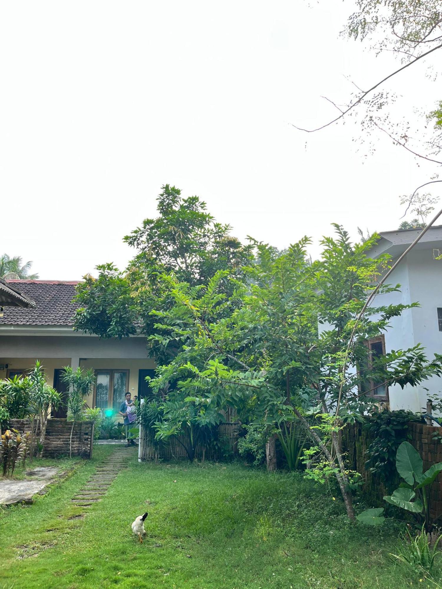 Honey Home Kuta  Bagian luar foto